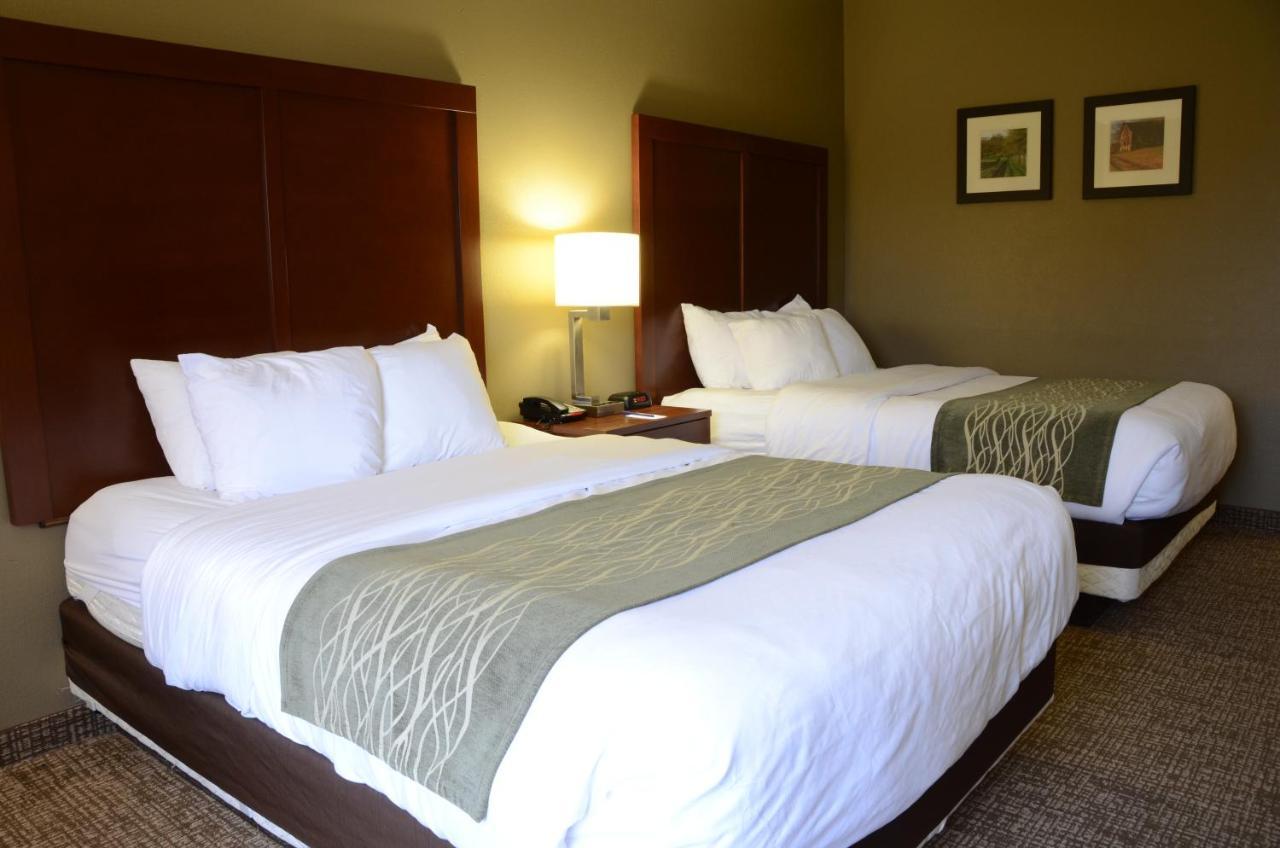 Comfort Inn & Suites Cave City Buitenkant foto