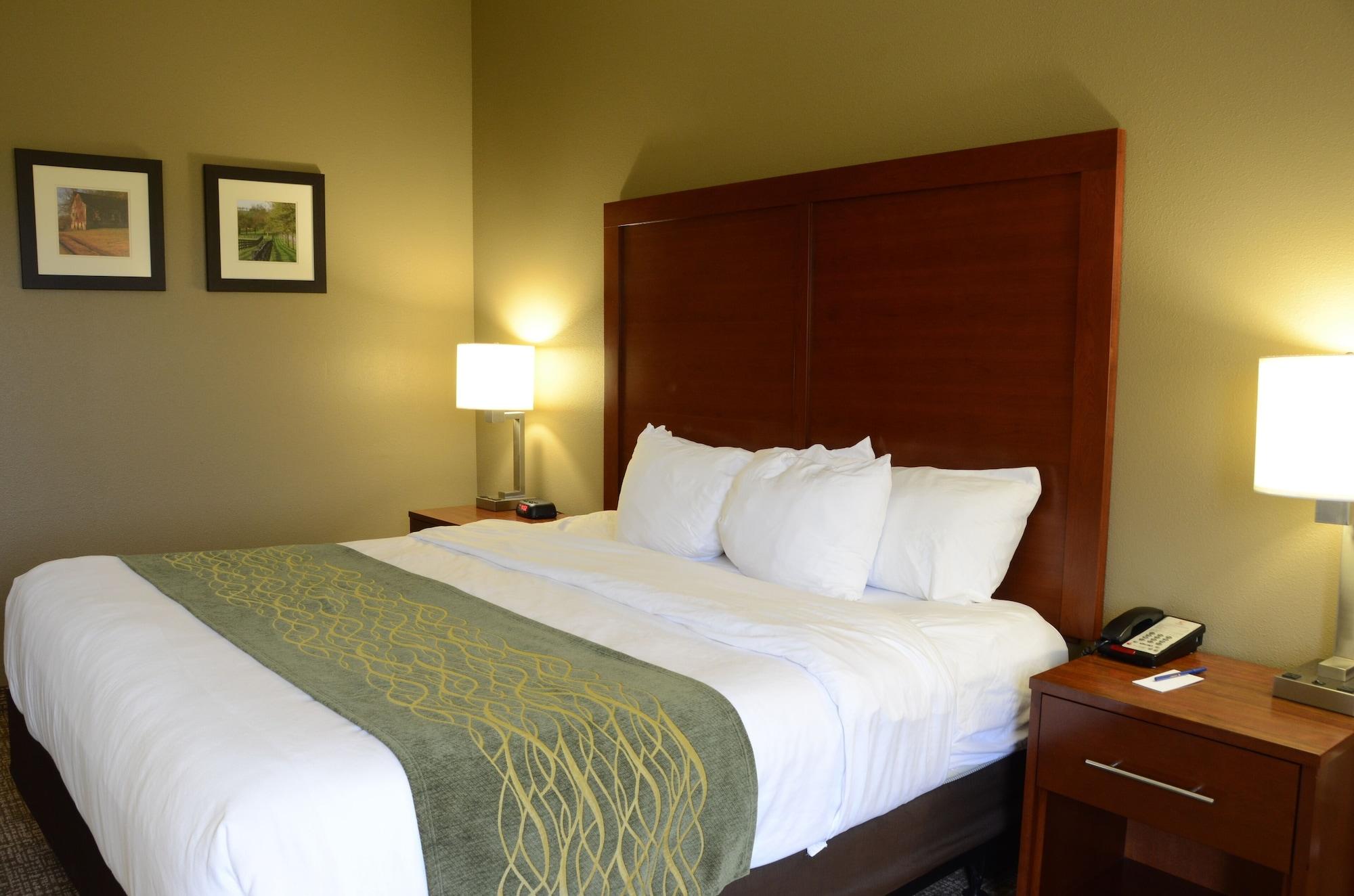 Comfort Inn & Suites Cave City Buitenkant foto